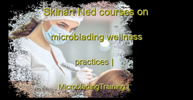 Skinart Ned courses on microblading wellness practices | MicrobladingTraining | MicrobladingClasses | SkinartTraining-United States